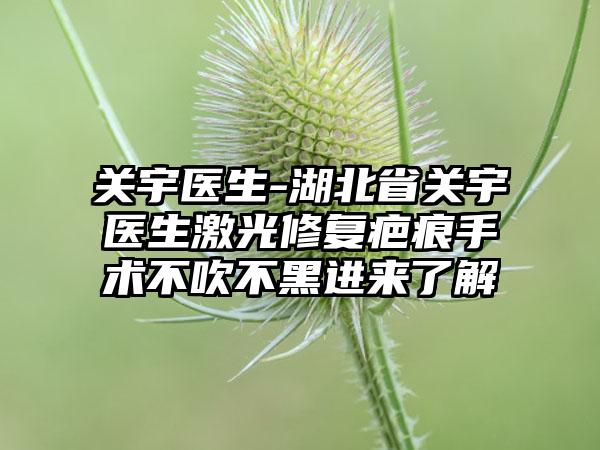 关宇医生-湖北省关宇医生激光修复疤痕手术不吹不黑进来了解