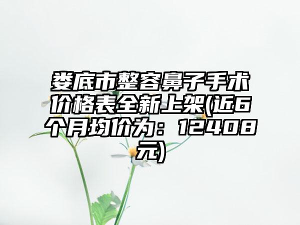 娄底市整容鼻子手术价格表全新上架(近6个月均价为：12408元)