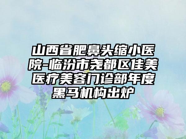 山西省肥鼻头缩小医院-临汾市尧都区佳美医疗美容门诊部年度黑马机构出炉