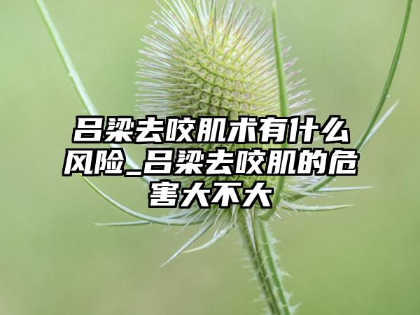 吕梁去咬肌术有什么风险_吕梁去咬肌的危害大不大