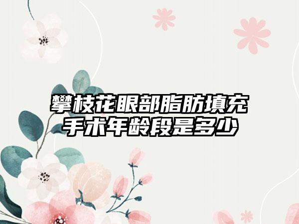 攀枝花眼部脂肪填充手术年龄段是多少