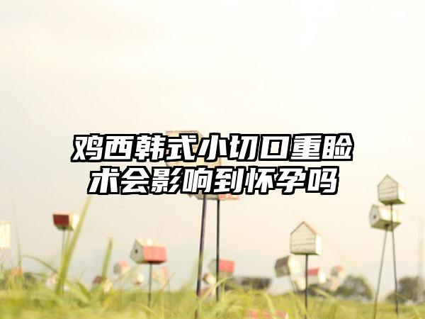 鸡西韩式小切口重睑术会影响到怀孕吗