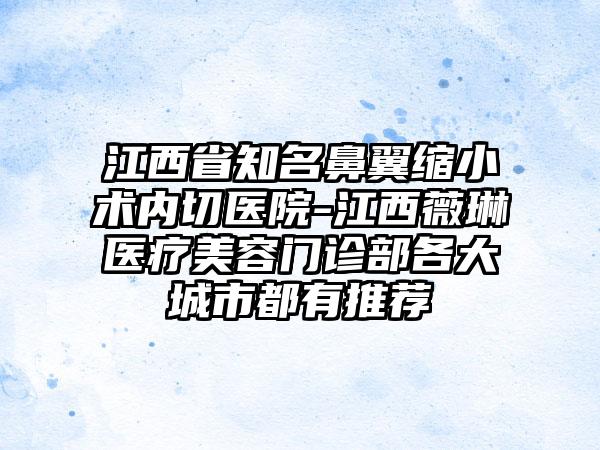 江西省知名鼻翼缩小术内切医院-江西薇琳医疗美容门诊部各大城市都有推荐