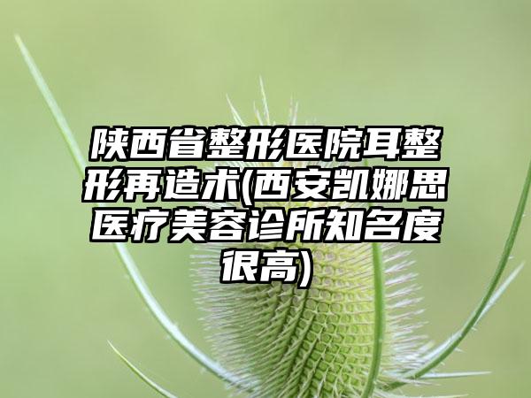 陕西省整形医院耳整形再造术(西安凯娜思医疗美容诊所知名度很高)