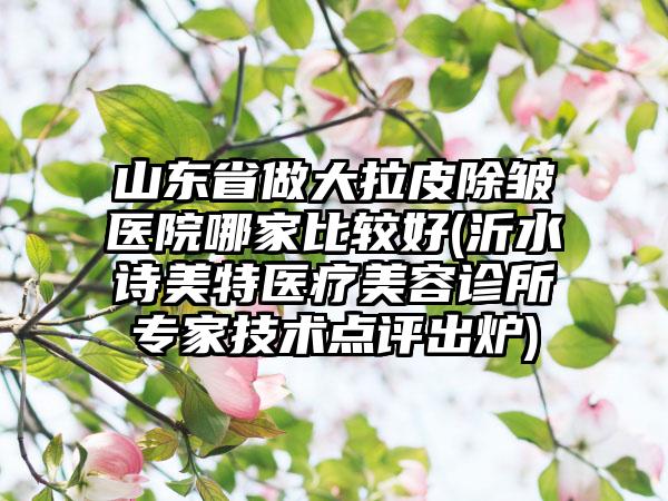 山东省做大拉皮除皱医院哪家比较好(沂水诗美特医疗美容诊所专家技术点评出炉)