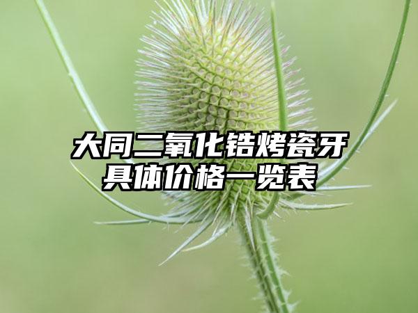 大同二氧化锆烤瓷牙具体价格一览表