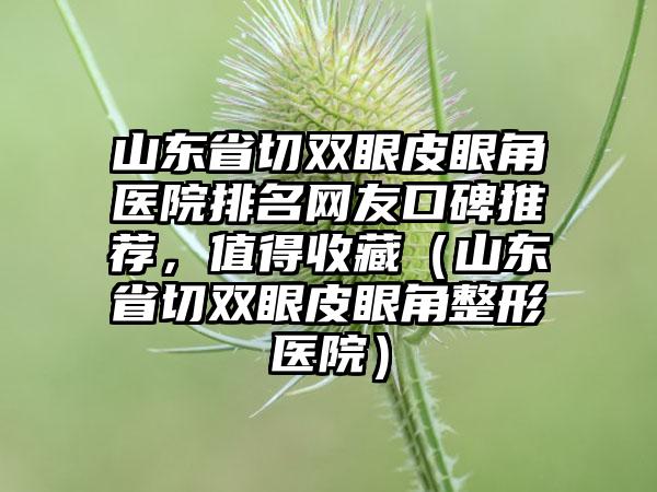 山东省切双眼皮眼角医院排名网友口碑推荐，值得收藏（山东省切双眼皮眼角整形医院）