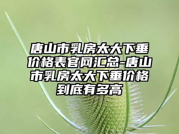 唐山市乳房太大下垂价格表官网汇总-唐山市乳房太大下垂价格到底有多高