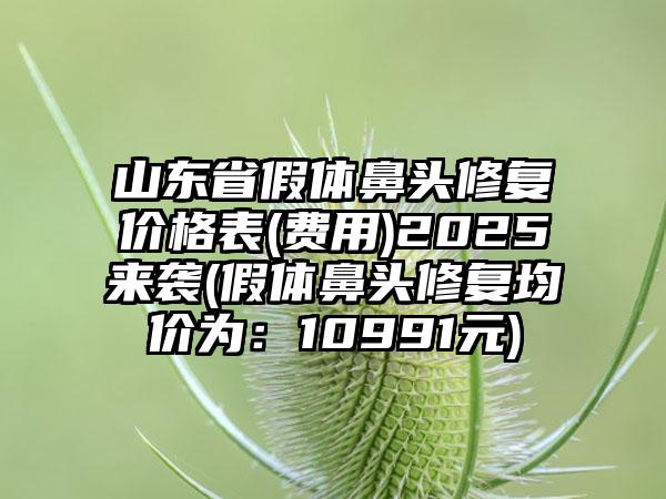 山东省假体鼻头修复价格表(费用)2025来袭(假体鼻头修复均价为：10991元)