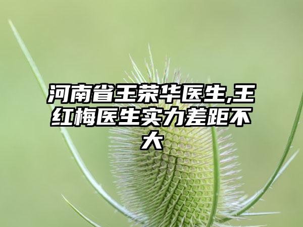 河南省王荣华医生,王红梅医生实力差距不大