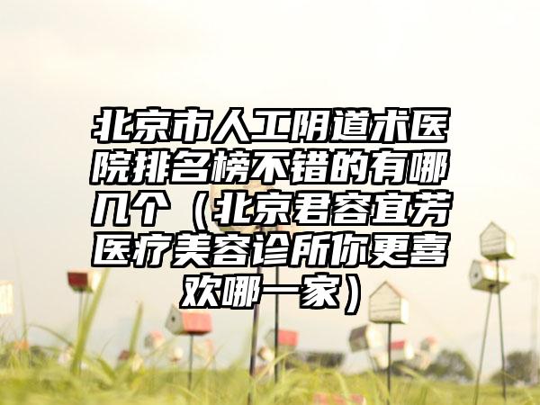 北京市人工阴道术医院排名榜不错的有哪几个（北京君容宜芳医疗美容诊所你更喜欢哪一家）