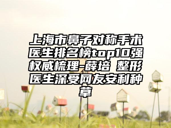 上海市鼻子对称手术医生排名榜top10强权威梳理-薛培璘整形医生深受网友安利种草