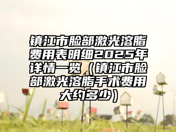 镇江市脸部激光溶脂费用表明细2025年详情一览（镇江市脸部激光溶脂手术费用大约多少）