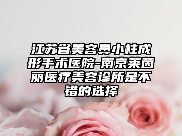 江苏省美容鼻小柱成形手术医院-南京莱茵丽医疗美容诊所是不错的选择