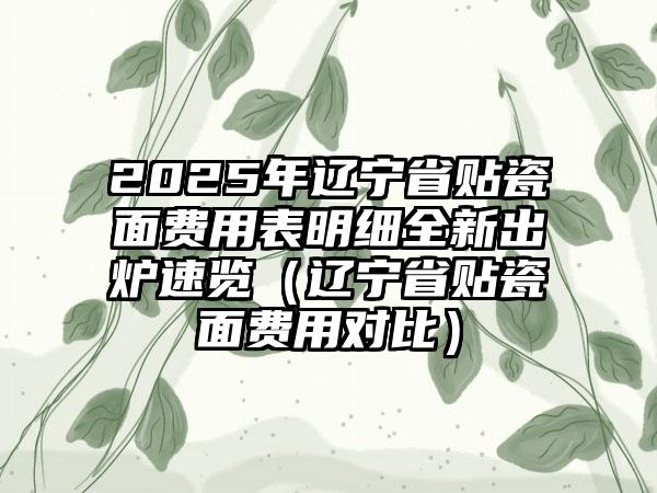 2025年辽宁省贴瓷面费用表明细全新出炉速览（辽宁省贴瓷面费用对比）