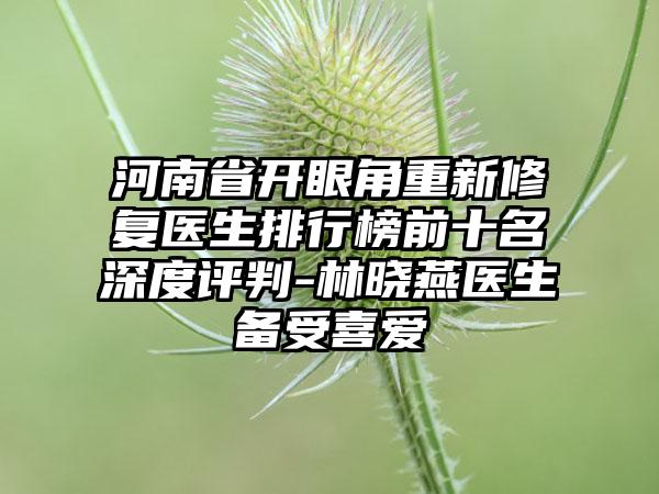 河南省开眼角重新修复医生排行榜前十名深度评判-林晓燕医生备受喜爱