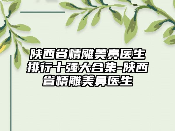 陕西省精雕美鼻医生排行十强大合集-陕西省精雕美鼻医生