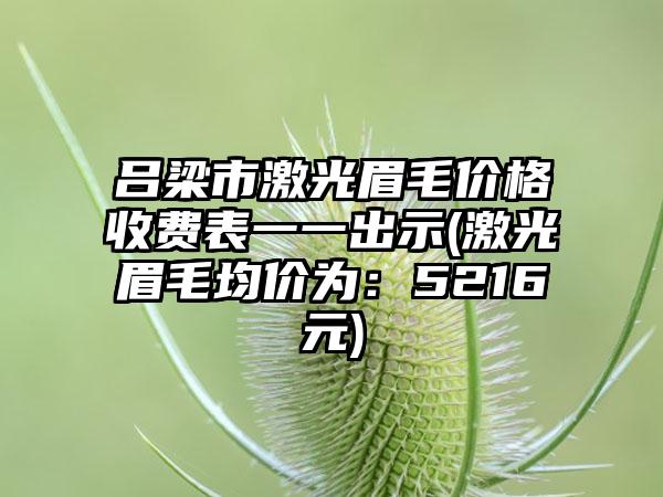 吕梁市激光眉毛价格收费表一一出示(激光眉毛均价为：5216元)