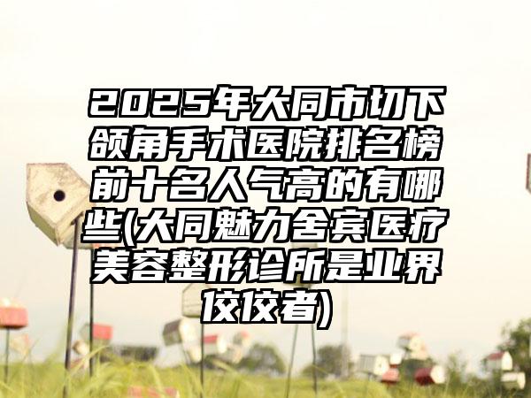 2025年大同市切下颌角手术医院排名榜前十名人气高的有哪些(大同魅力舍宾医疗美容整形诊所是业界佼佼者)