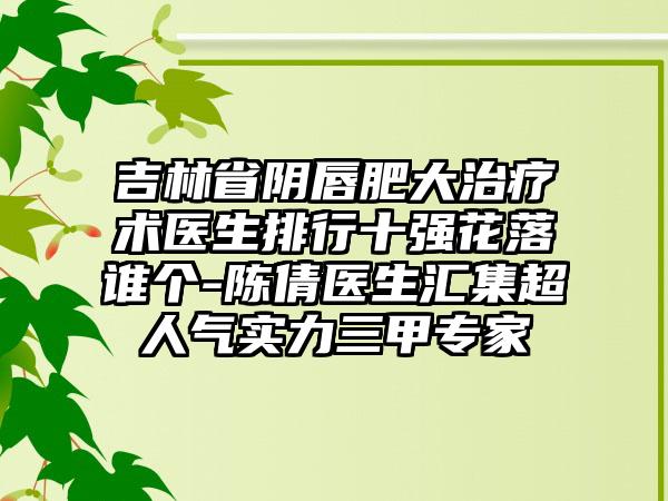 吉林省阴唇肥大治疗术医生排行十强花落谁个-陈倩医生汇集超人气实力三甲专家