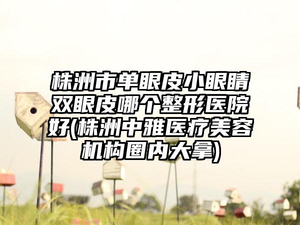 株洲市单眼皮小眼睛双眼皮哪个整形医院好(株洲中雅医疗美容机构圈内大拿)