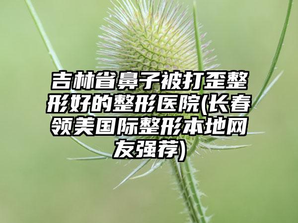 吉林省鼻子被打歪整形好的整形医院(长春领美国际整形本地网友强荐)