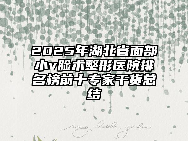 2025年湖北省面部小v脸术整形医院排名榜前十专家干货总结