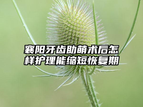 襄阳牙齿助萌术后怎样护理能缩短恢复期