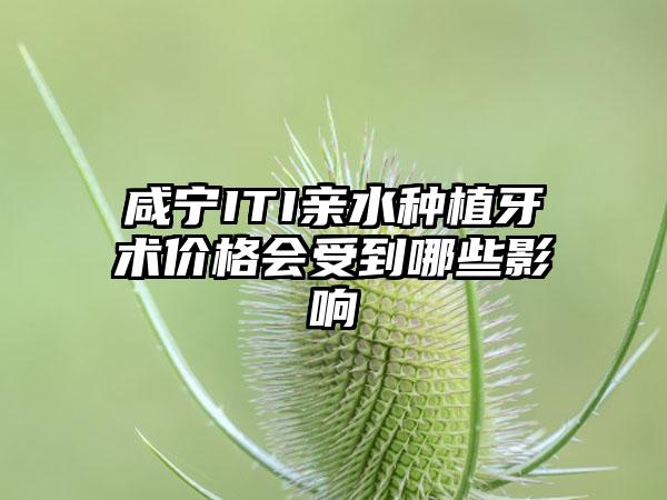 咸宁ITI亲水种植牙术价格会受到哪些影响