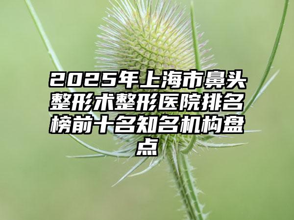 2025年上海市鼻头整形术整形医院排名榜前十名知名机构盘点