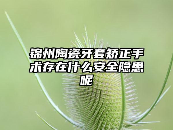 锦州陶瓷牙套矫正手术存在什么安全隐患呢