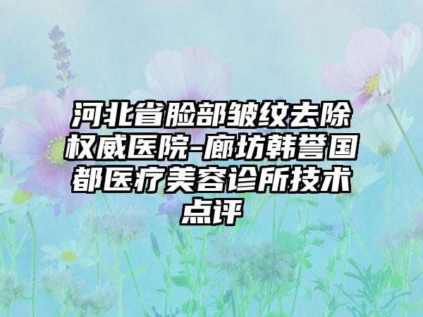 河北省脸部皱纹去除权威医院-廊坊韩誉国都医疗美容诊所技术点评