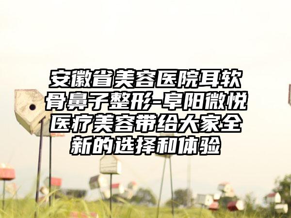 安徽省美容医院耳软骨鼻子整形-阜阳微悦医疗美容带给大家全新的选择和体验