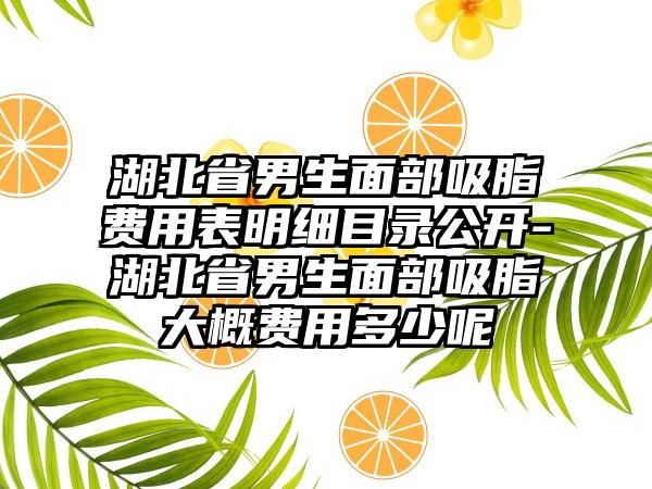 湖北省男生面部吸脂费用表明细目录公开-湖北省男生面部吸脂大概费用多少呢