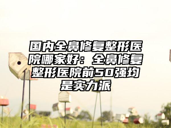 国内全鼻修复整形医院哪家好：全鼻修复整形医院前50强均是实力派