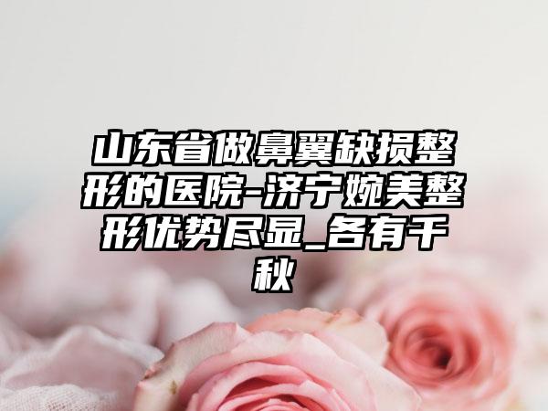 山东省做鼻翼缺损整形的医院-济宁婉美整形优势尽显_各有千秋